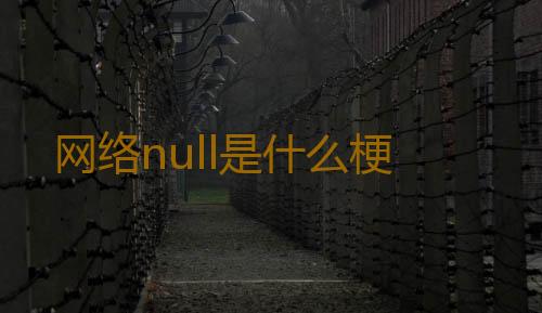 网络null是什么梗